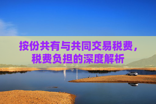 按份共有与共同交易税费，税费负担的深度解析