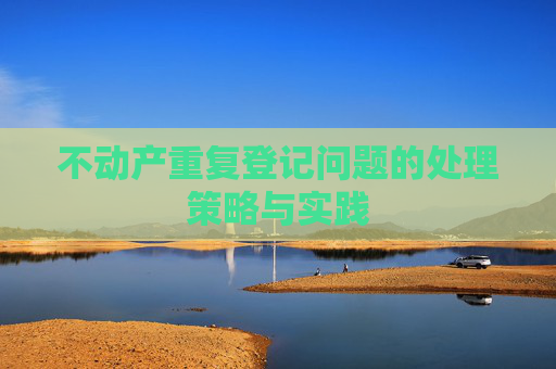不动产重复登记问题的处理策略与实践
