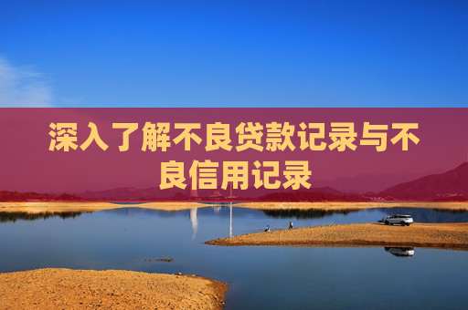 深入了解不良贷款记录与不良信用记录