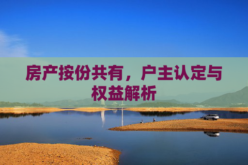 房产按份共有，户主认定与权益解析